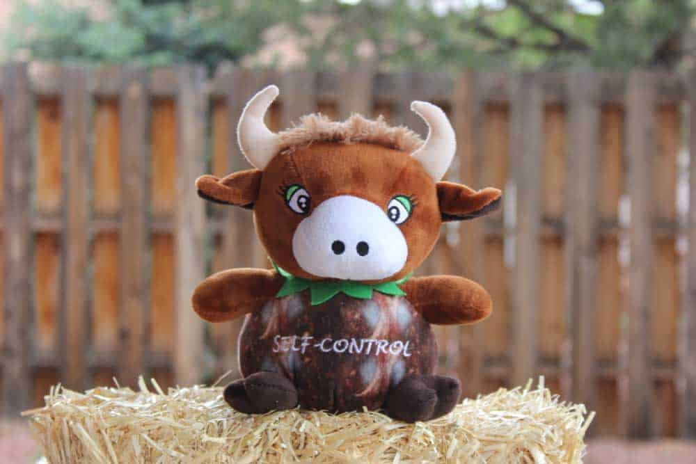 Self-Control: The Coconut Bull Plush