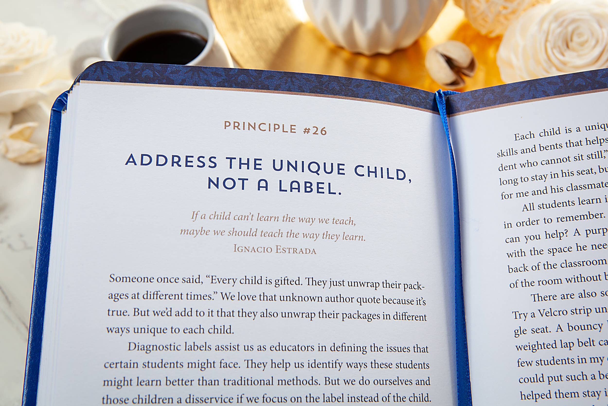 The Way of the Teacher (Self-help Book, Teacher's Gifts)