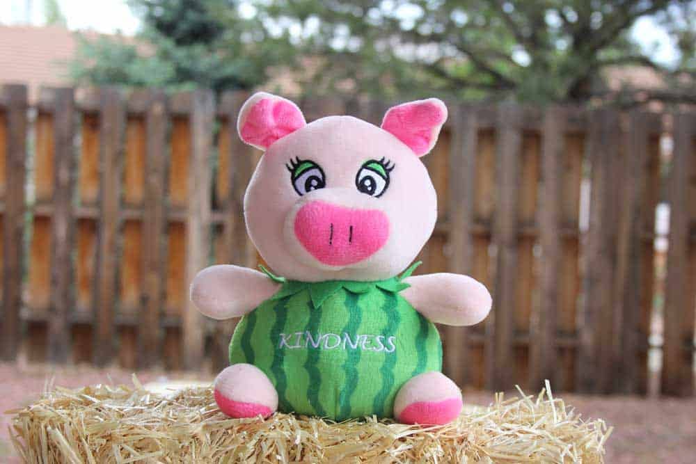 Kindness: The Watermelon Pig Plush